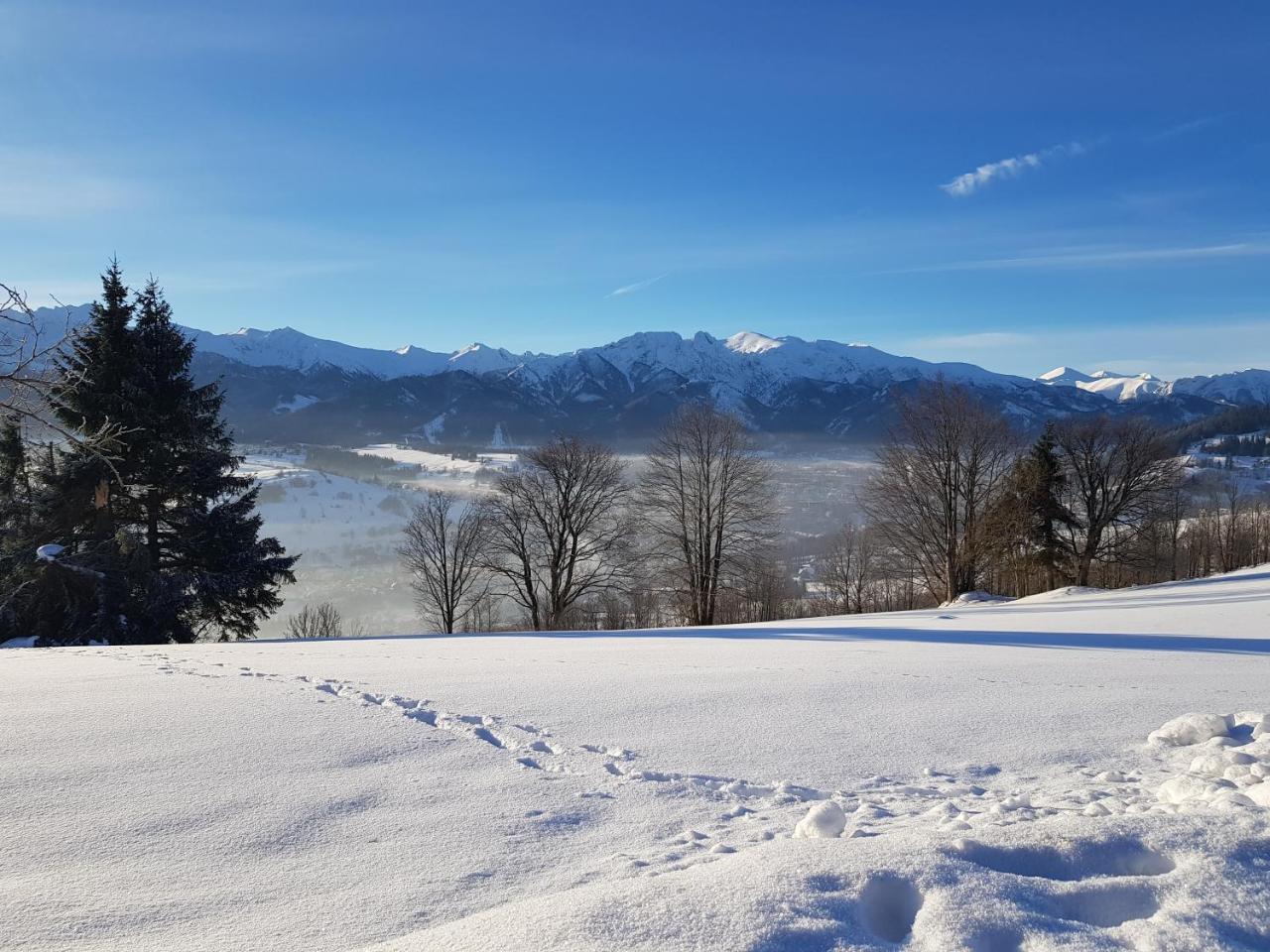 Willa Chycowka - Zakopane — Photos 1